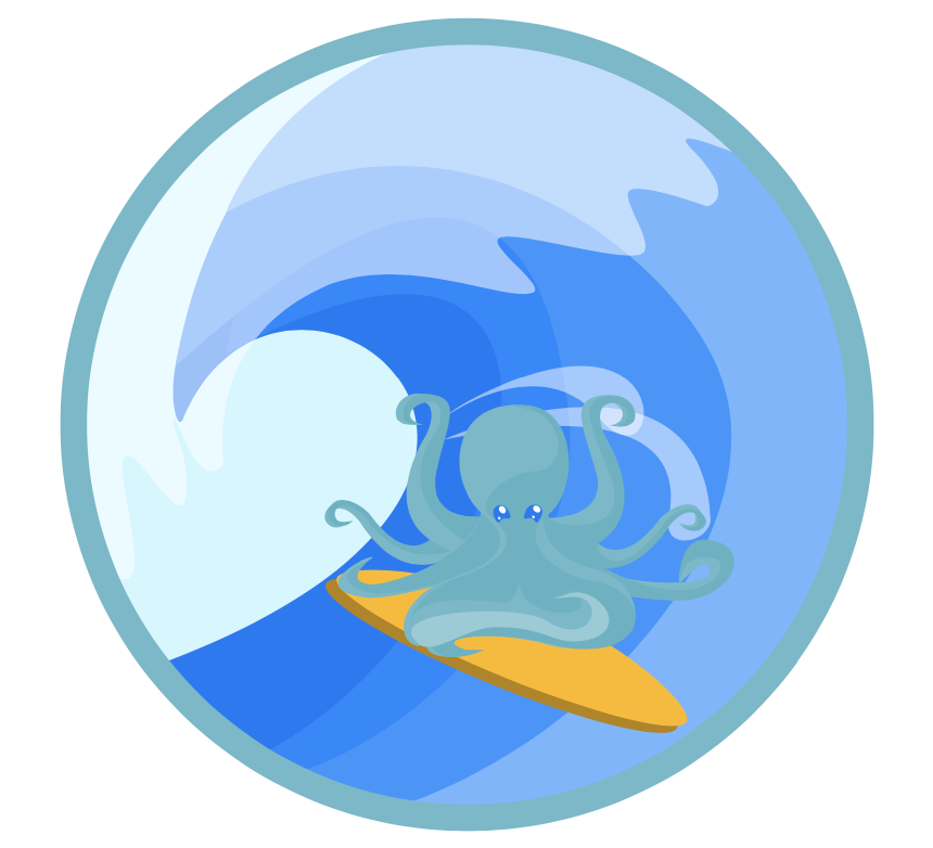 logo Zourit école de surf
